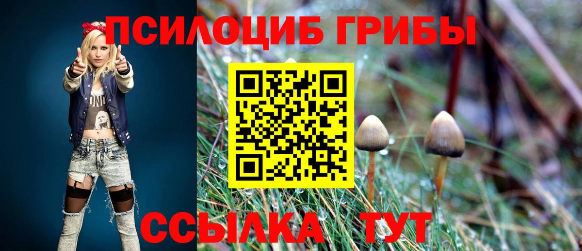 Псилоцибиновые грибы Psilocybine cubensis Луга