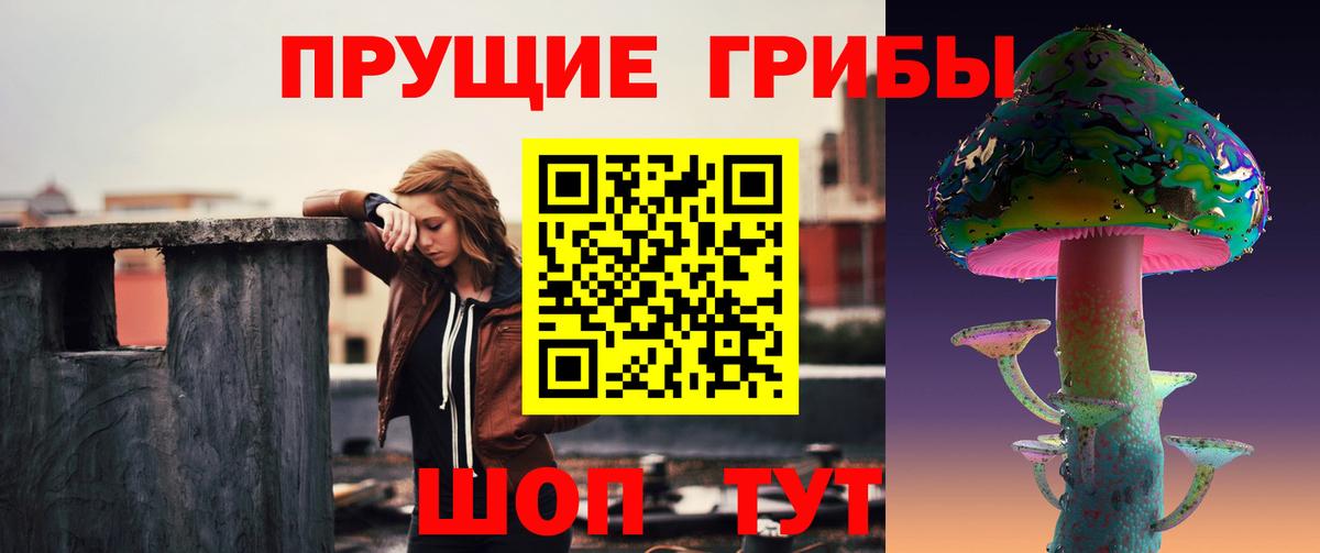 Луга  Псилоцибиновые грибы Psilocybe  Вход с VPN 